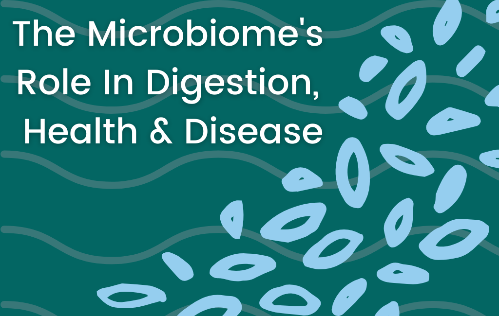 A Gut Feeling: The Roles of Digestion and the Microbiome in Health and Disease - Layer Origin Nutrition