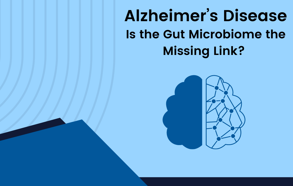 Alzheimer’s Disease – Is the Gut Microbiome the Missing Link? - Layer Origin Nutrition