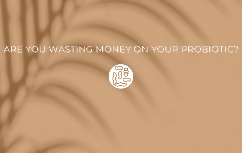 Are you wasting money on your probiotic? - Layer Origin Nutrition