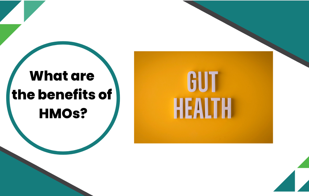 Human Milk Oligosaccharides Benefits for Adults: A Comprehensive Guide