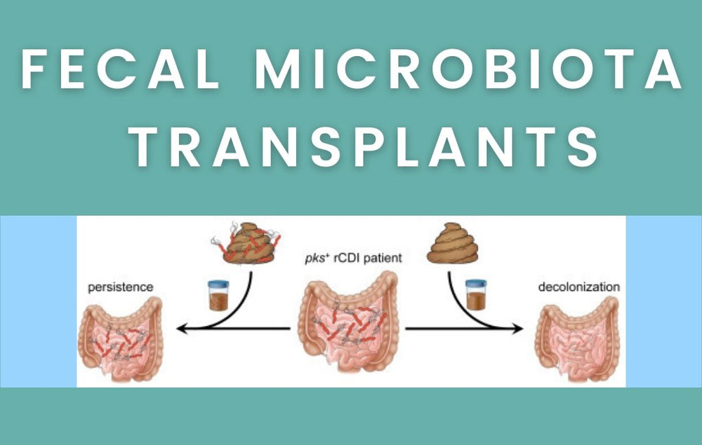 Fecal Microbiota Transplants - Layer Origin Nutrition