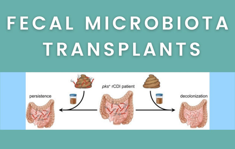 Fecal Microbiota Transplants Layer Origin Nutrition