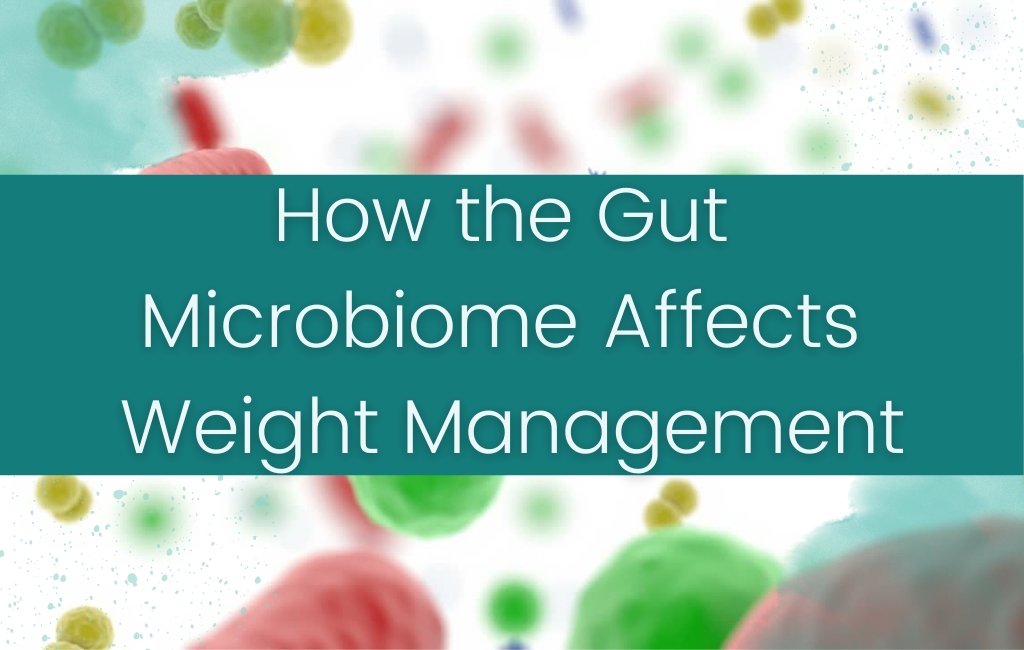 How the Gut Microbiome Affects Weight Management - Layer Origin Nutrition