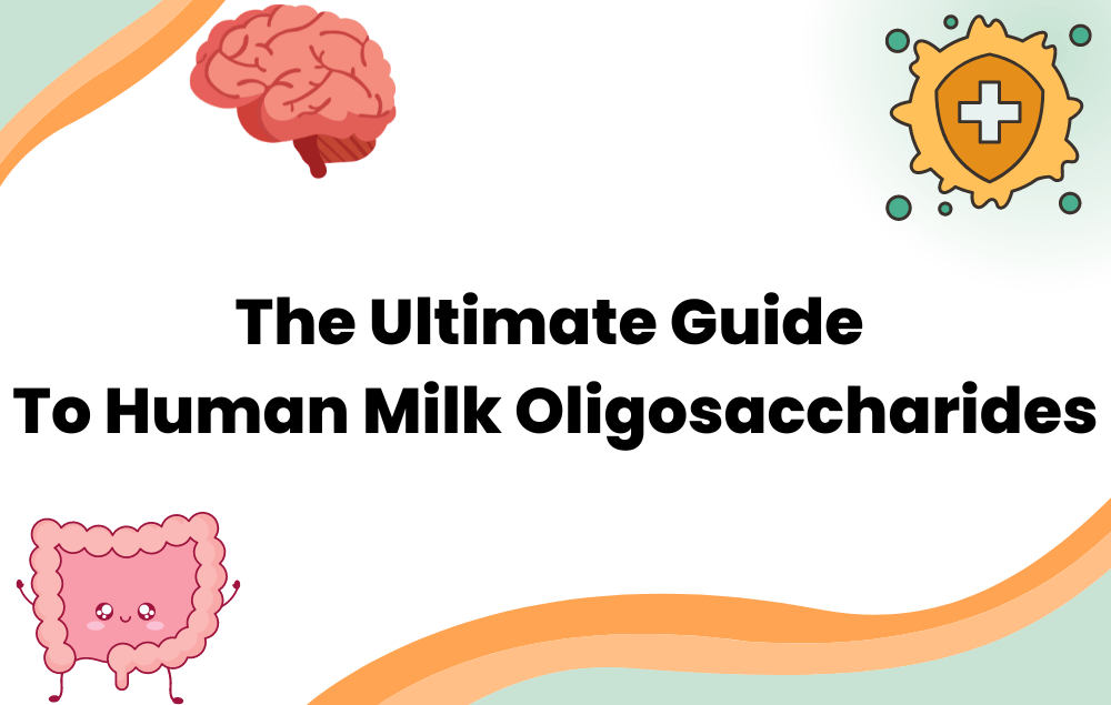 Human Milk Oligosaccharides: The Ultimate Guide to HMOs for Better Gut Health (Updated June 2022) - Layer Origin Nutrition