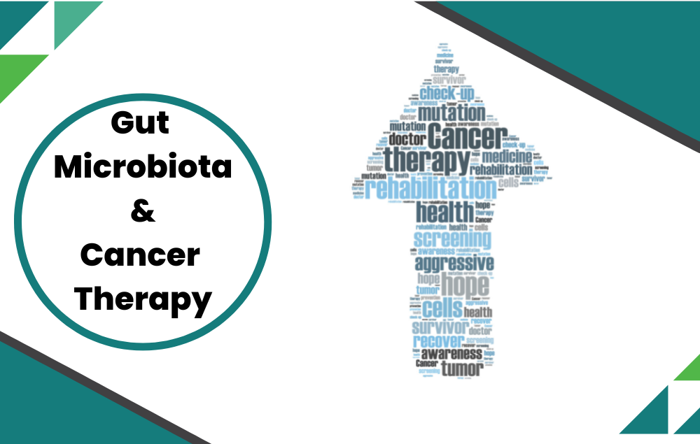 How Does the Gut Microbiome Affect Cancer Immunotherapy?
