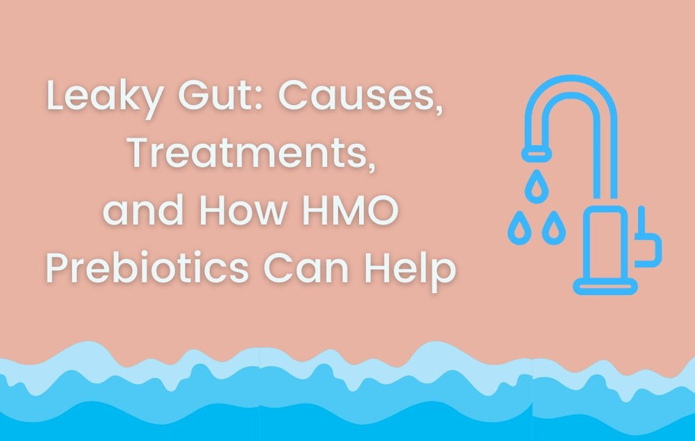 Leaky Gut the Causes, Treatments, and How HMO Prebiotics Can Help