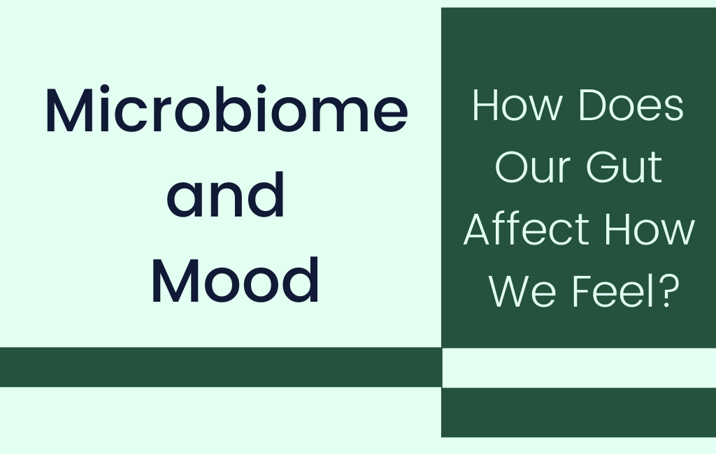 Microbiome and Mood: How Does Our Gut Affect How We Feel? - Layer Origin Nutrition