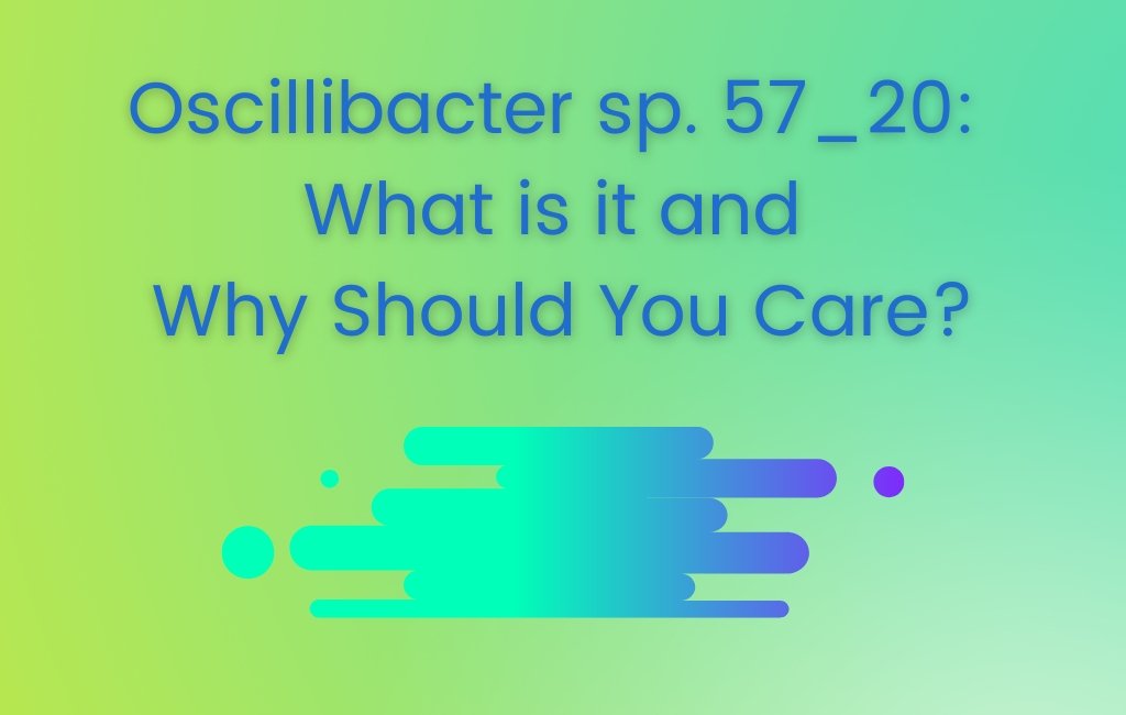 Oscillibacter sp. 57_20: What is it and Why Should You Care? - Layer Origin Nutrition