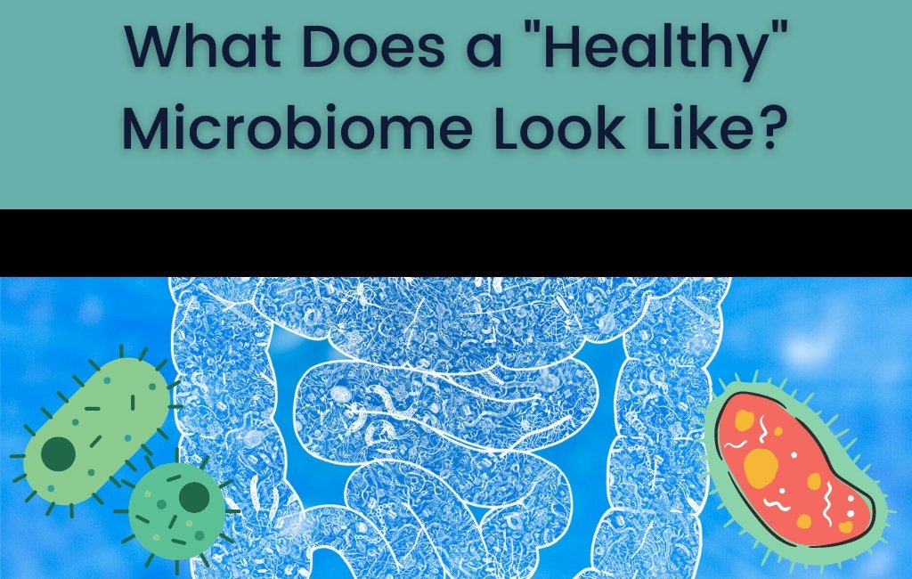 What does a "Healthy" Microbiome Look Like? - Layer Origin Nutrition
