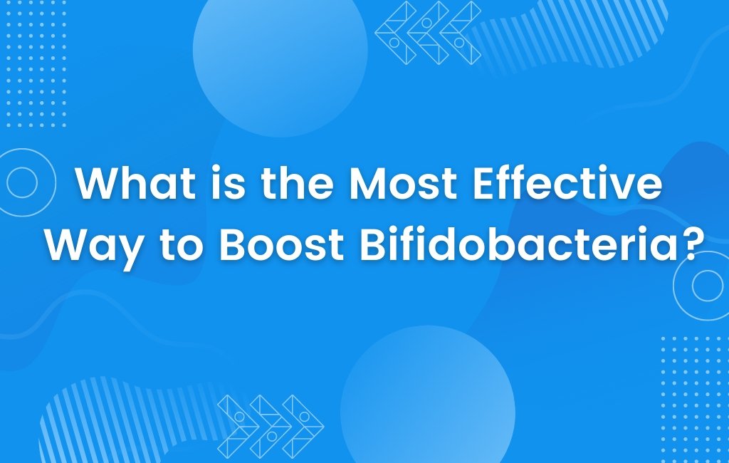 What is the Most Effective Way to Boost Bifidobacteria? - Layer Origin Nutrition