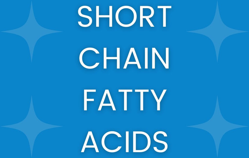 What Are Short Chain Fatty Acids and Why Are SCFAs Important to Your G