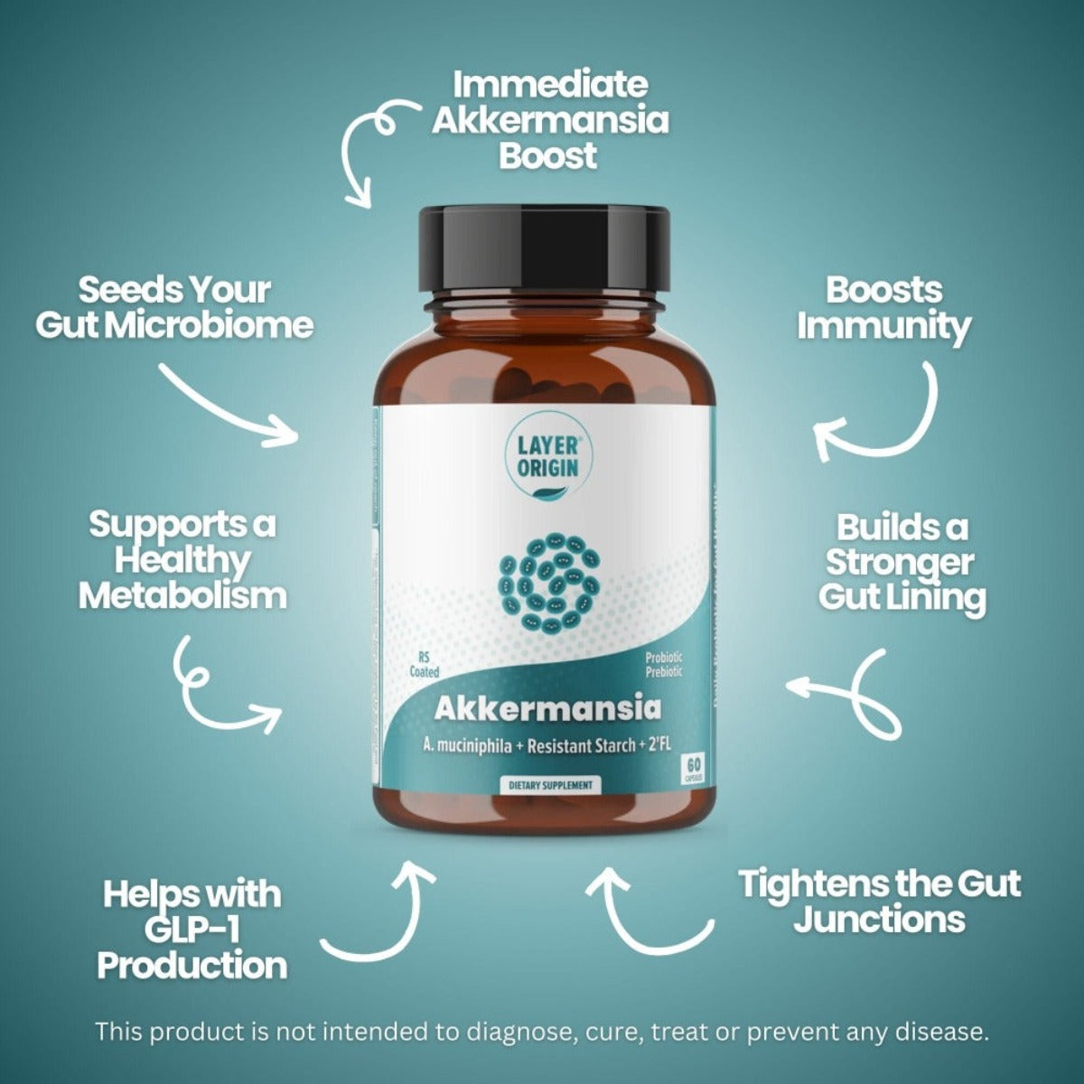 Akkermansia muciniphila Daily Probiotic with PureHMO Prebiotic for Wei ...
