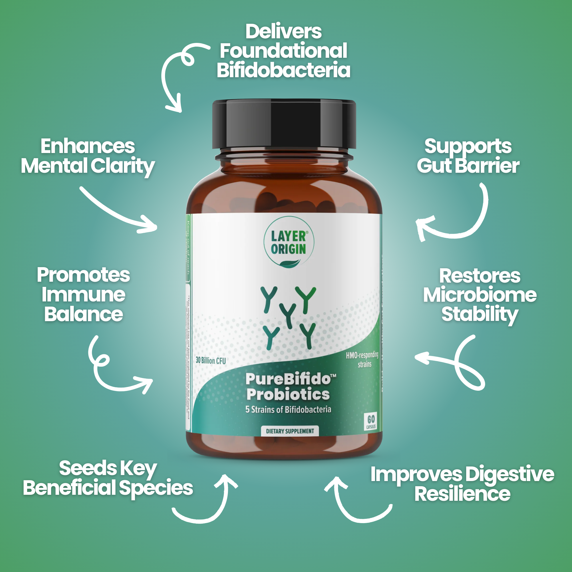 Bottle of PureBifido Probiotics with text highlighting benefits on a green background