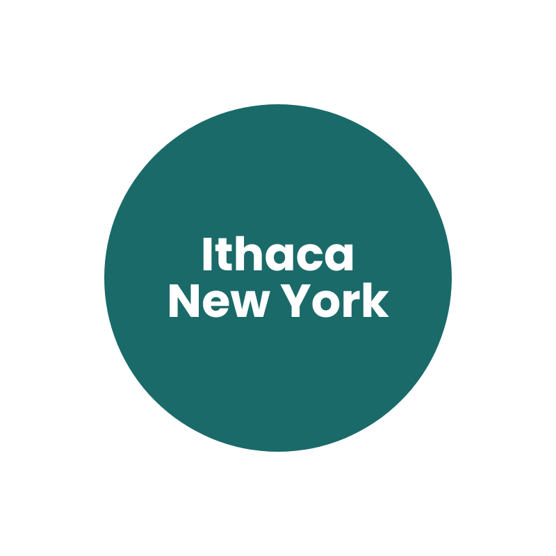 Ithaca NY