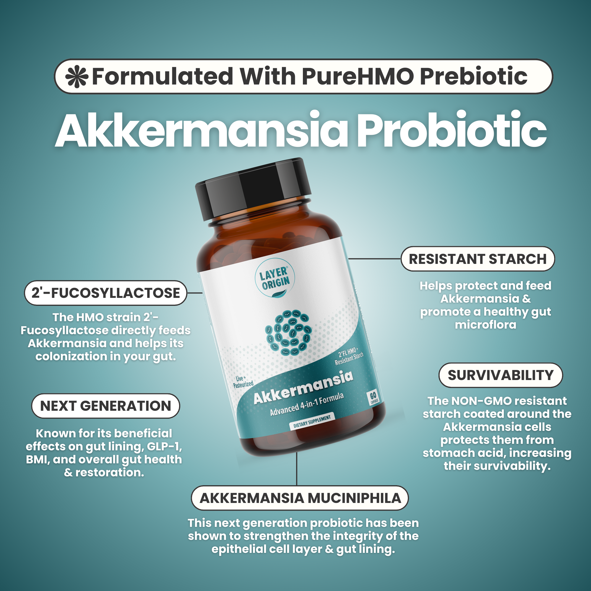 Akkermansia Ingredients