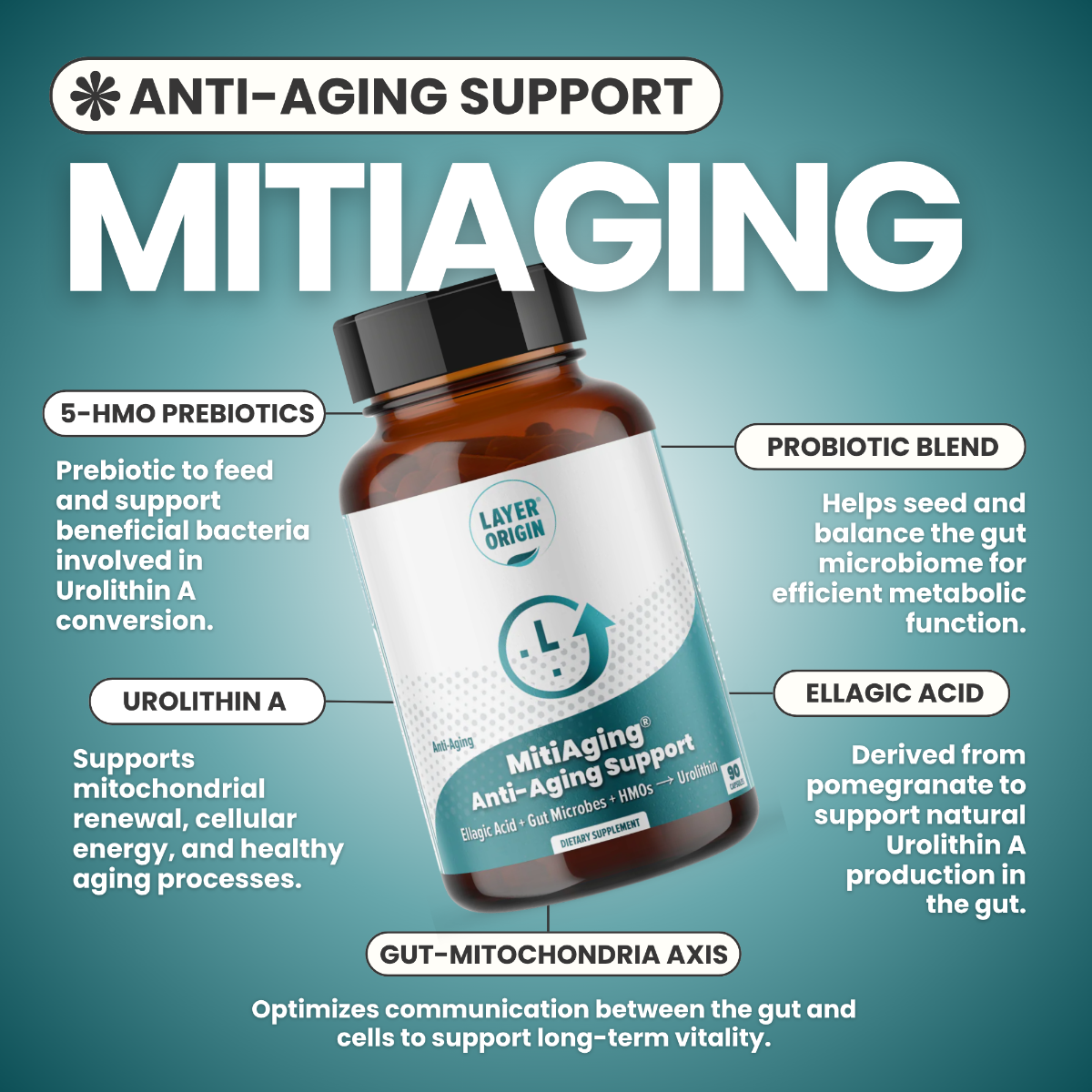 MitiAggin product features