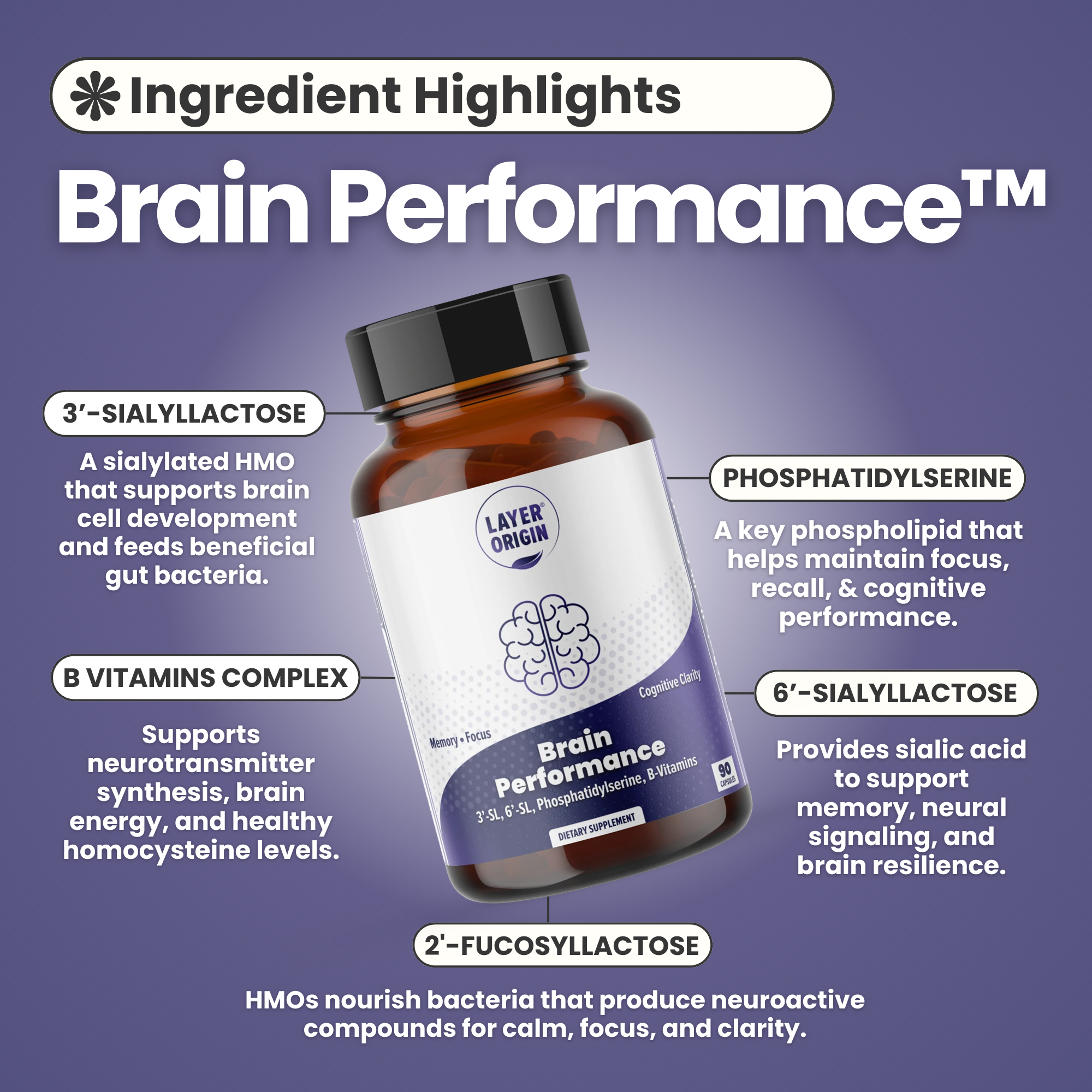 Brain Performance boost Memory Focus, Cognitive Supplement with 3SL 6SL, phosphatidylserine and folate, b12, vitamins - Ingredient Highlights