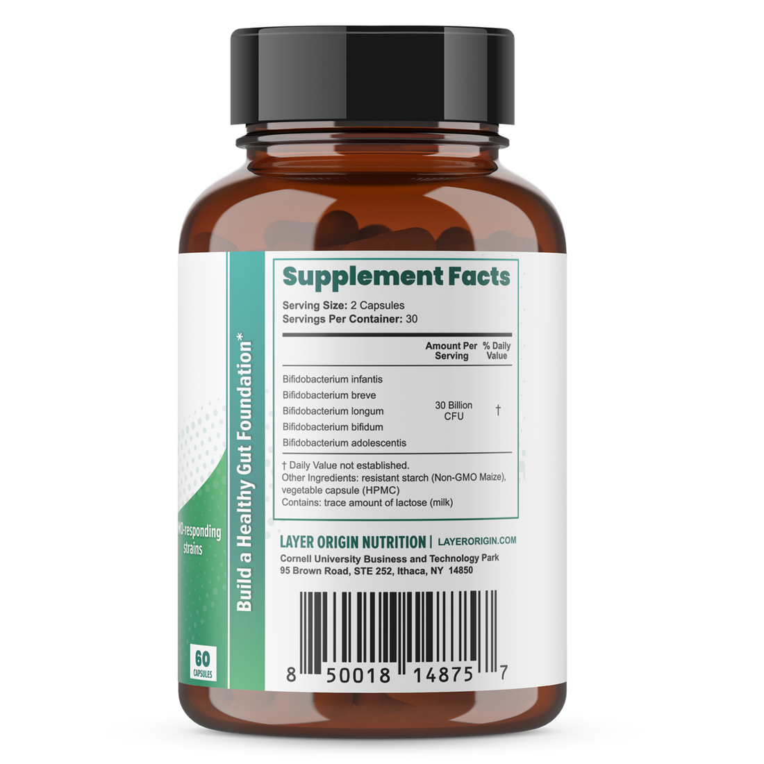 PureBifido™ Probiotics with 5 Strains of Bifidobacteria – Layer Origin ...