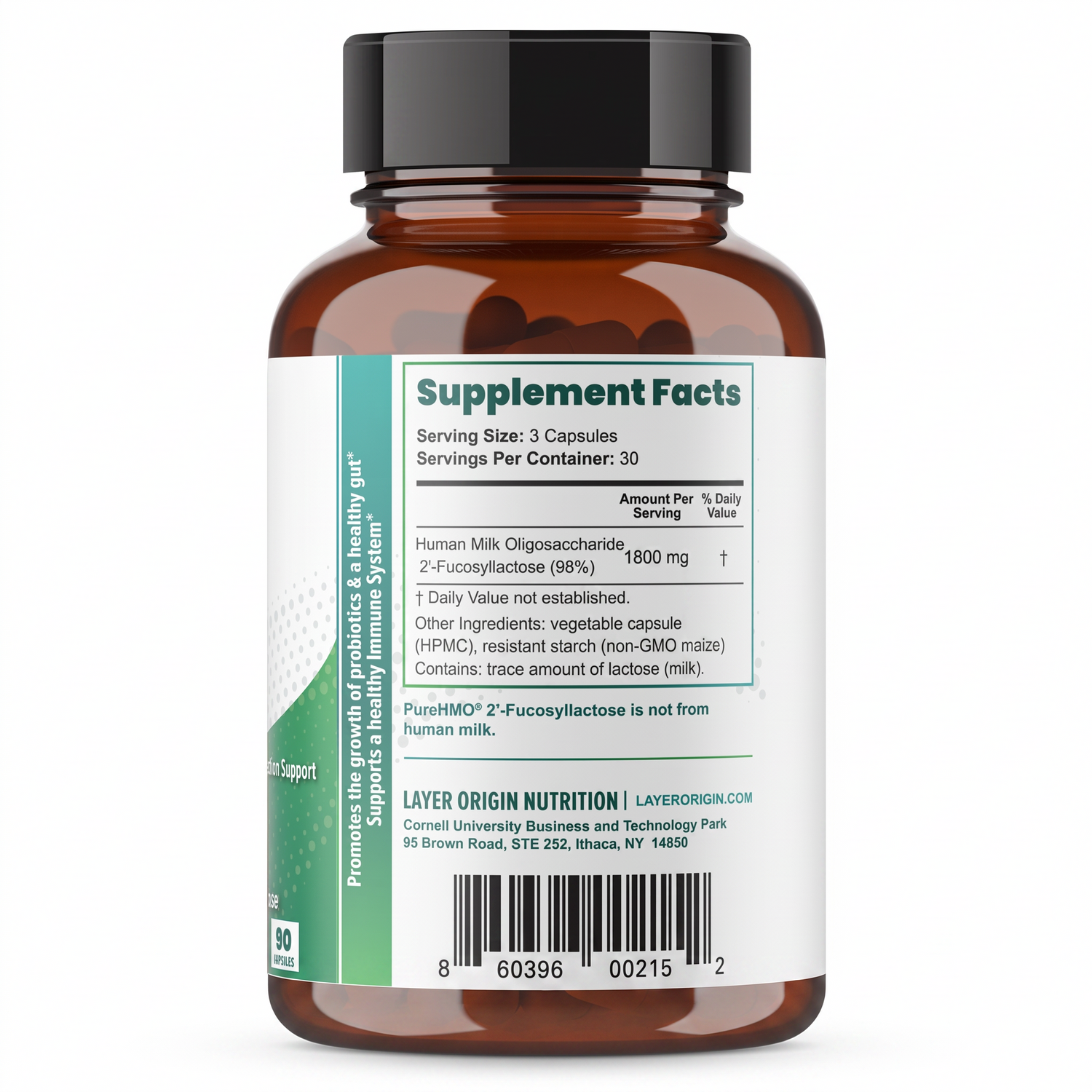 nutrition label supplement facts